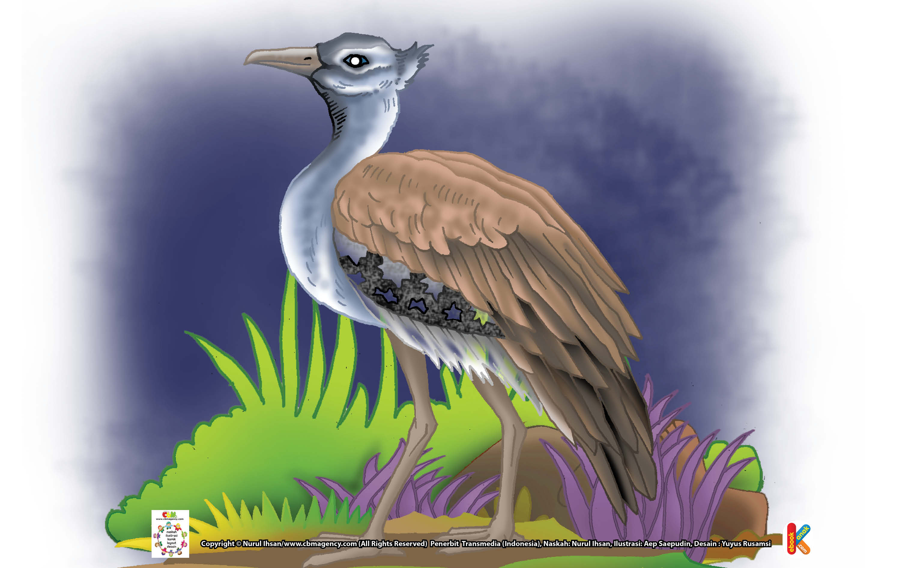 Ilustrasi Burung Kori Bustard Burung Terberat Di Dunia Ebook Anak
