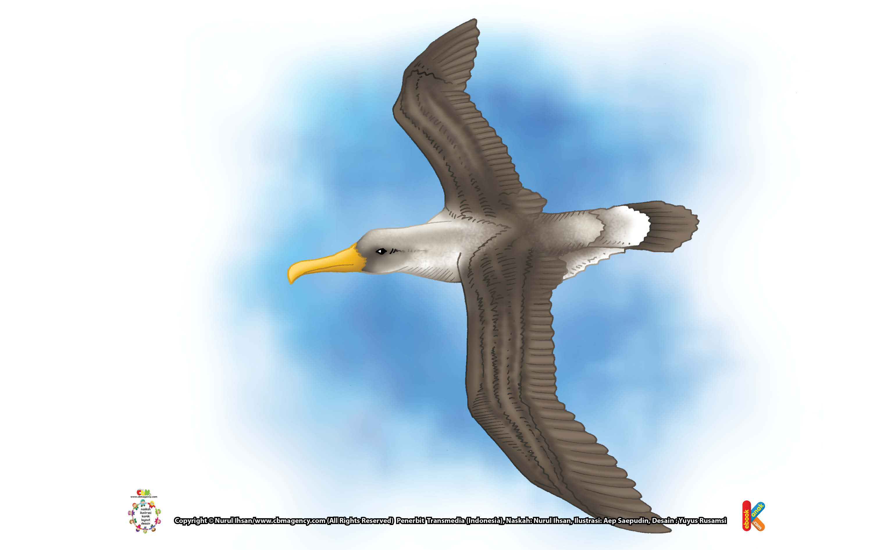 Albatros Bisa Terbang Sambil Tidur Ebook Anak