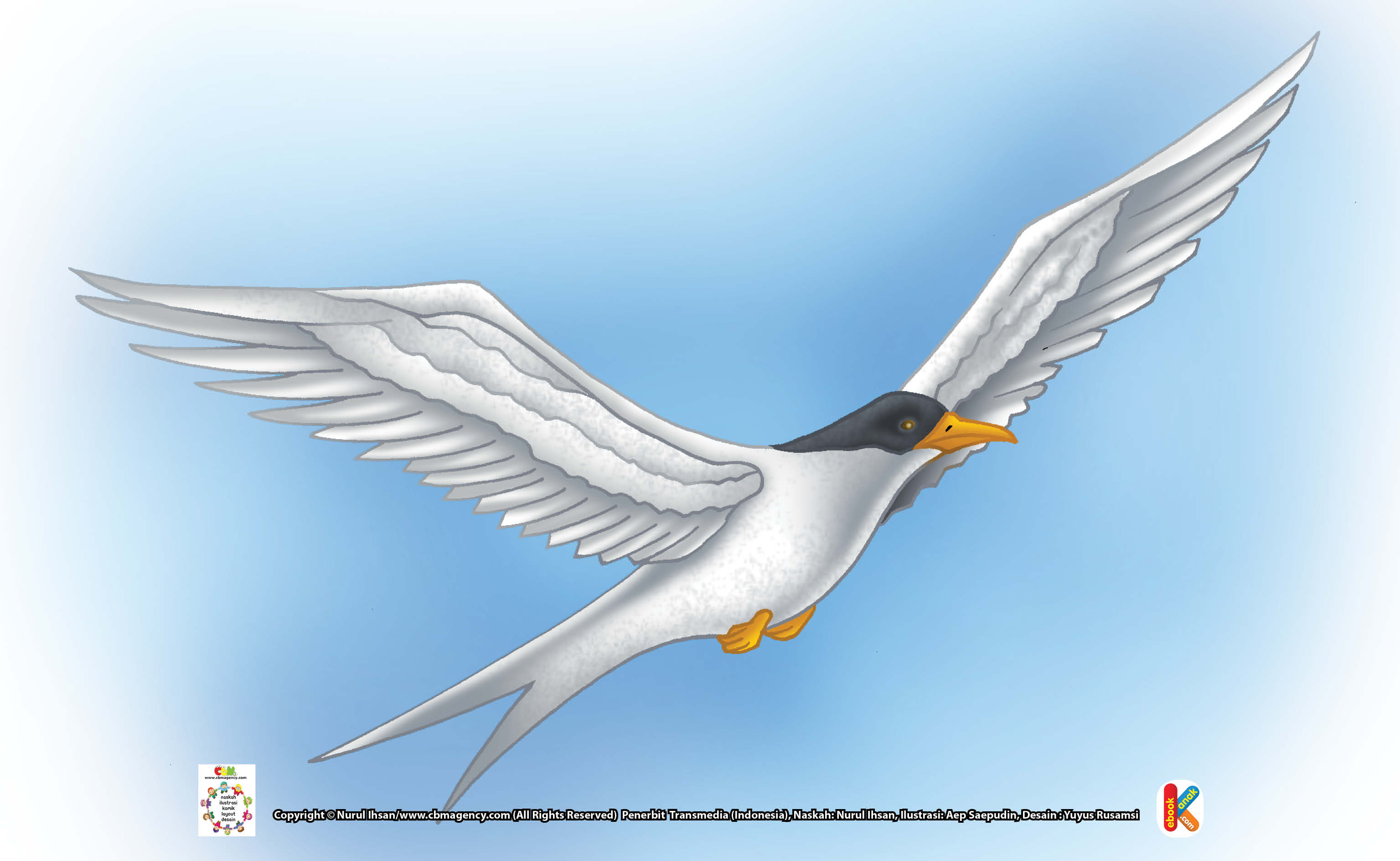 Ilustrasi Burung Dara Laut Arktik Ebook Anak