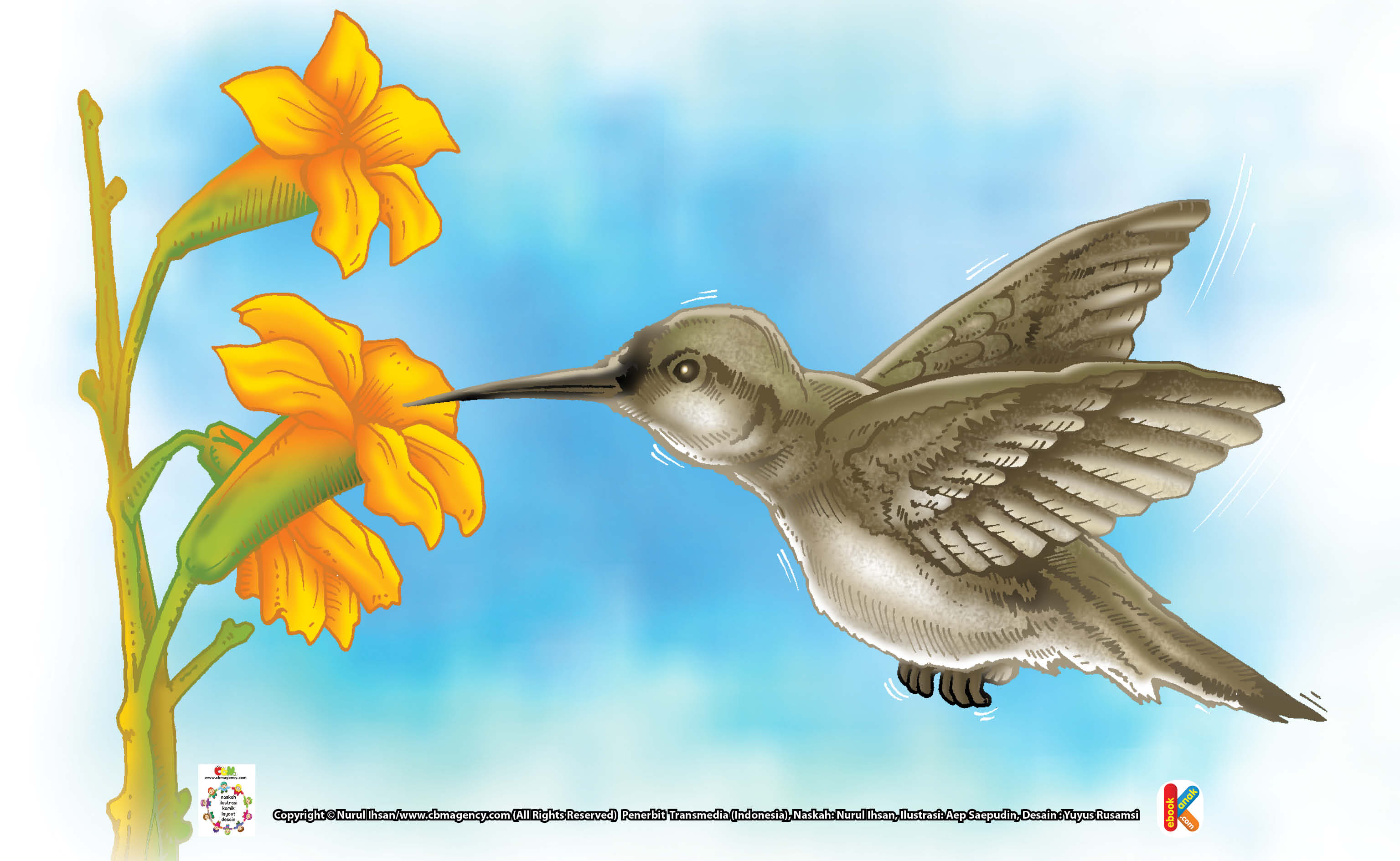 Ilustrasi Burung Kolibri Ebook Anak