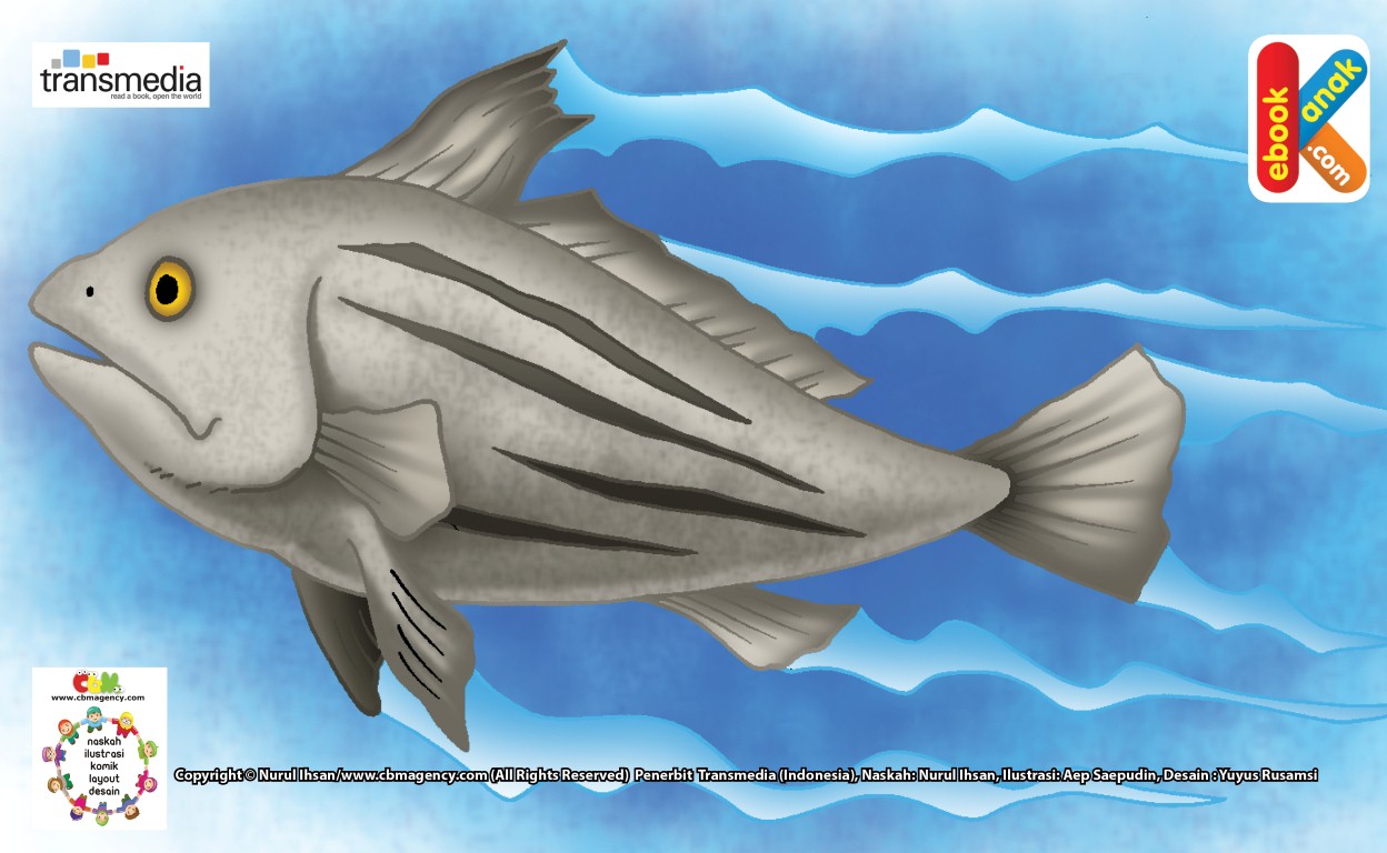 Ilustrasi Ikan Genderang Ikan Penabuh Drum Ebook Anak
