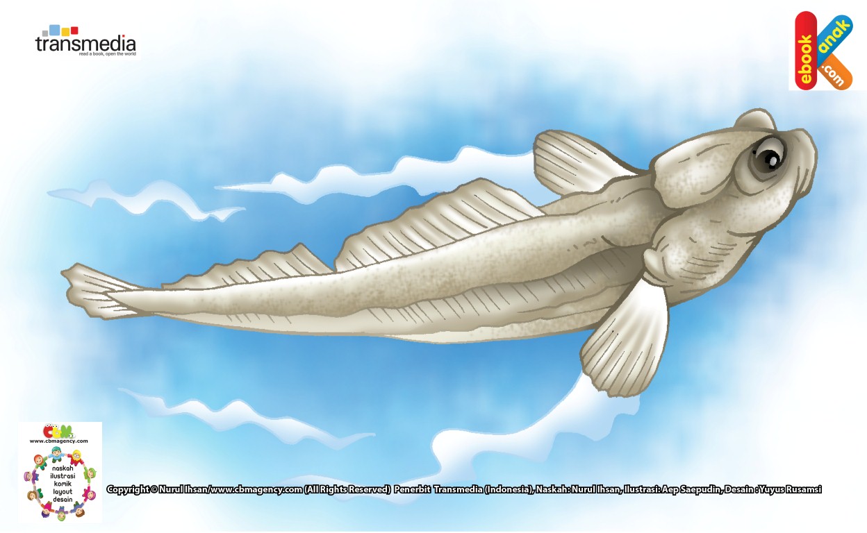 Ilustrasi Ikan Glodok Ikan Yang Pandai Memanjat Ebook Anak