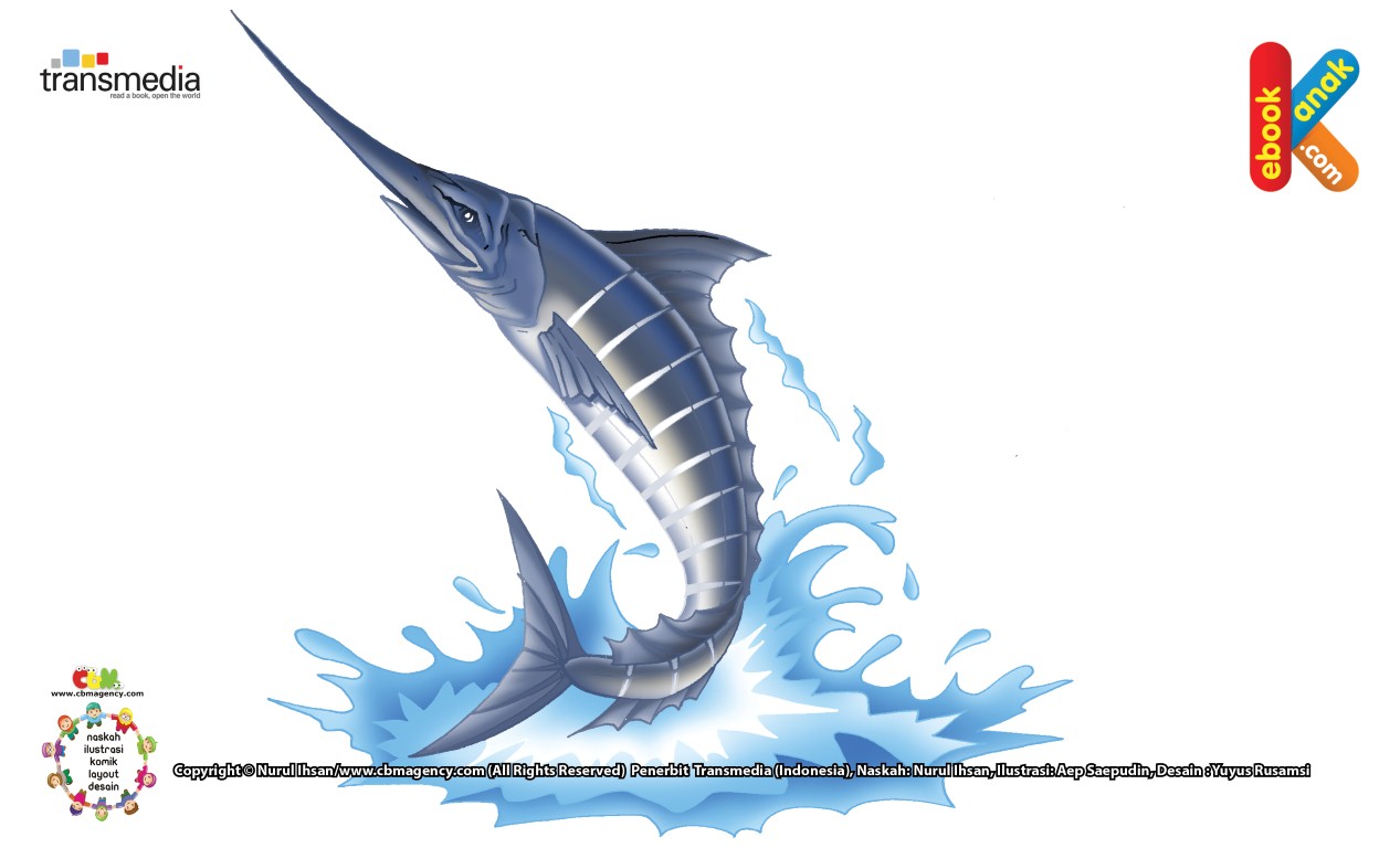 Ilustrasi Ikan Pedang Ikan Perenang Paling Cepat Ebook Anak