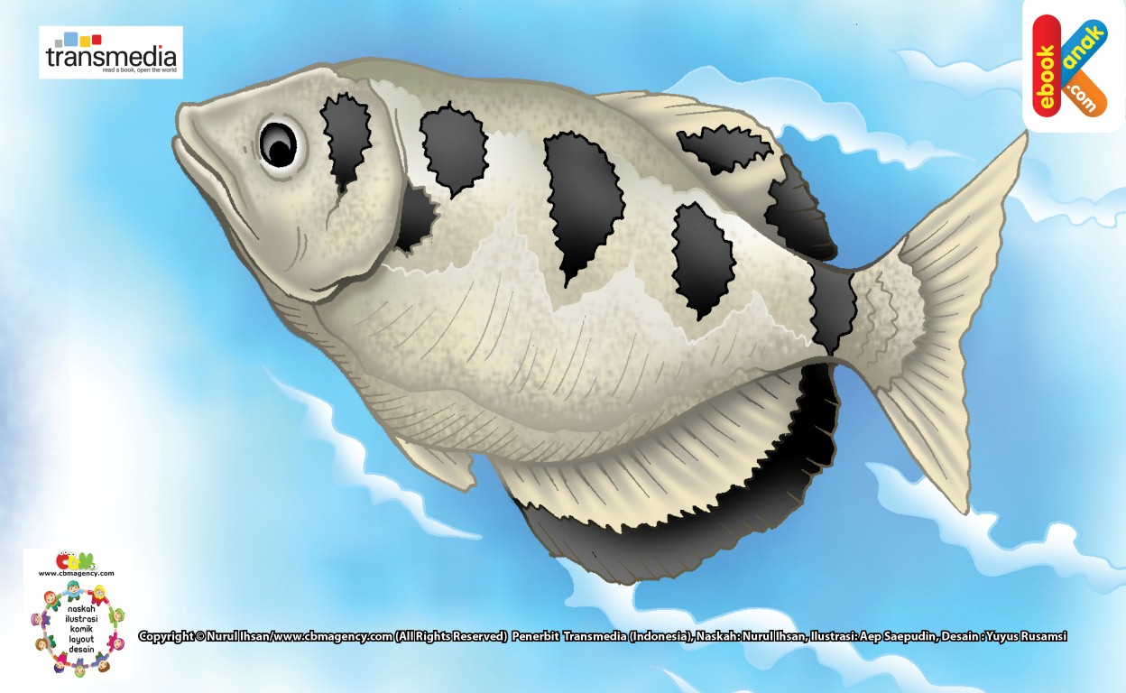 Ilustrasi Ikan Sumpit Senang Menyemprot Air Ebook Anak