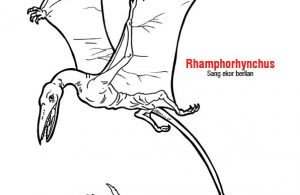 Mewarnai Gambar Ebook Anak Part 6 Reptil Terbang Rhamphorhynchus Ekor