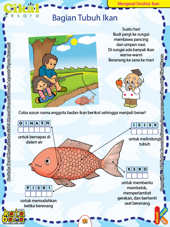 Worksheet Paud Tk Mengenal Bagian Tubuh Ikan Ebook Anak Gambar