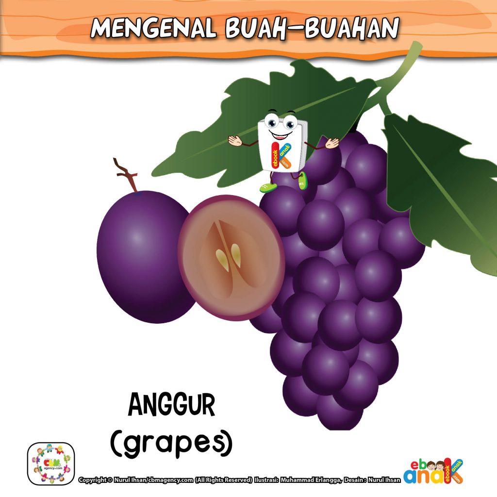 Mengenal Buah Anggur
