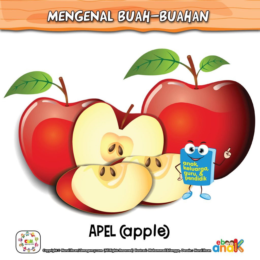 Mengenal Buah Apel