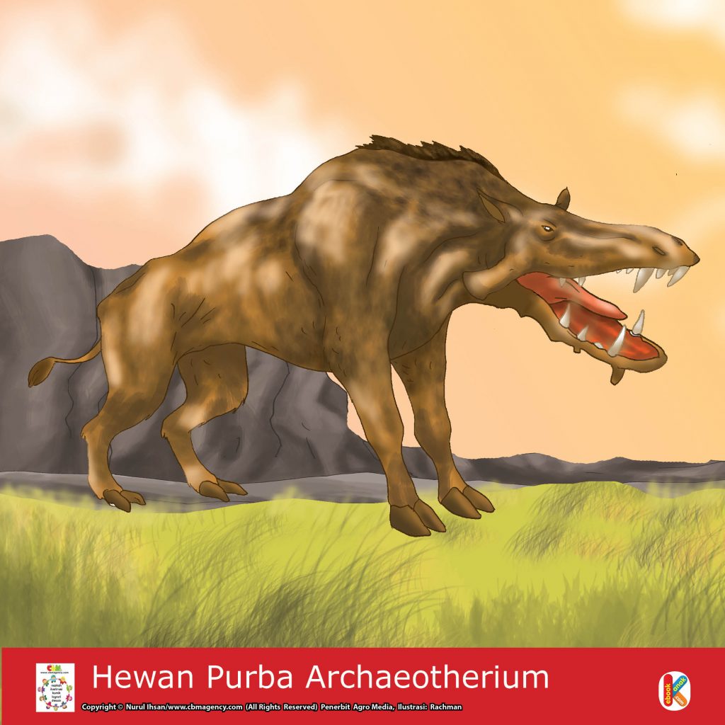 hewan purba archaeotherium