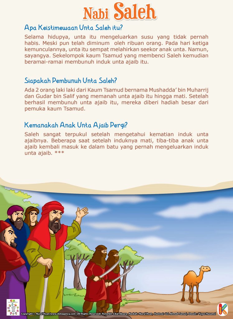 nabi saleh, apa keistimewaan unta saleh itu