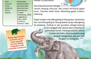 Deinotherium adalah hewan purba yang mirip gajah kuno