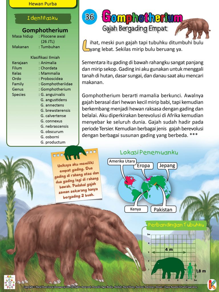 Hewan Purba Gomphotherium