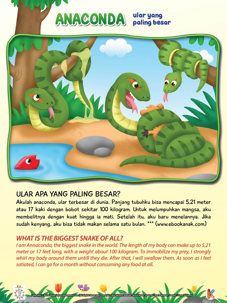 Wild & Pet Animals.jpg 1 anaconda ular yang paling besar