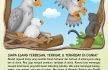 Rajawali harpy menjadi pemburu terhebat di dunia karena bisa memangsa secepat kilat hewan yang lebih besar dibanding tubuhnya.