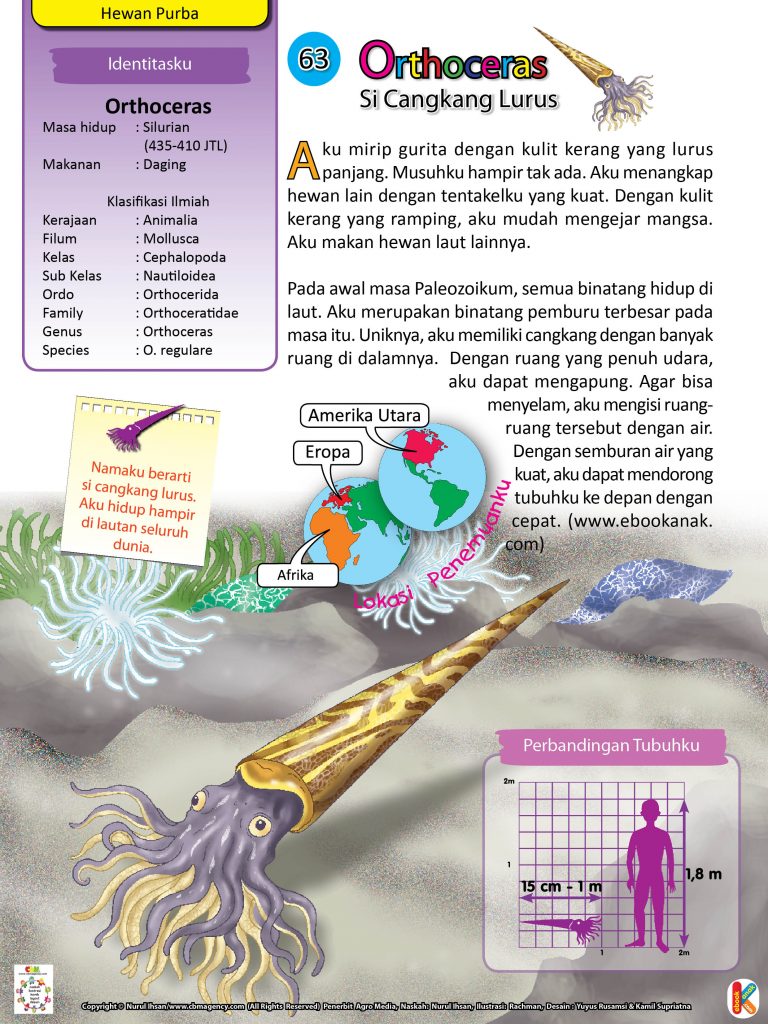 Dinosaurus Hewan Purba orthoceras.jpg 70