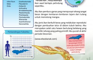 Placoderm ikan pemburu ganas yang mempunyai rahang sangat besar dengan lembaran-lembaran tajam dari tulang untuk memotong mangsa.