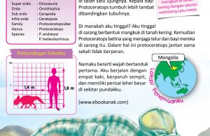 Nama Protoceratops berarti wajah bertanduk pertama.