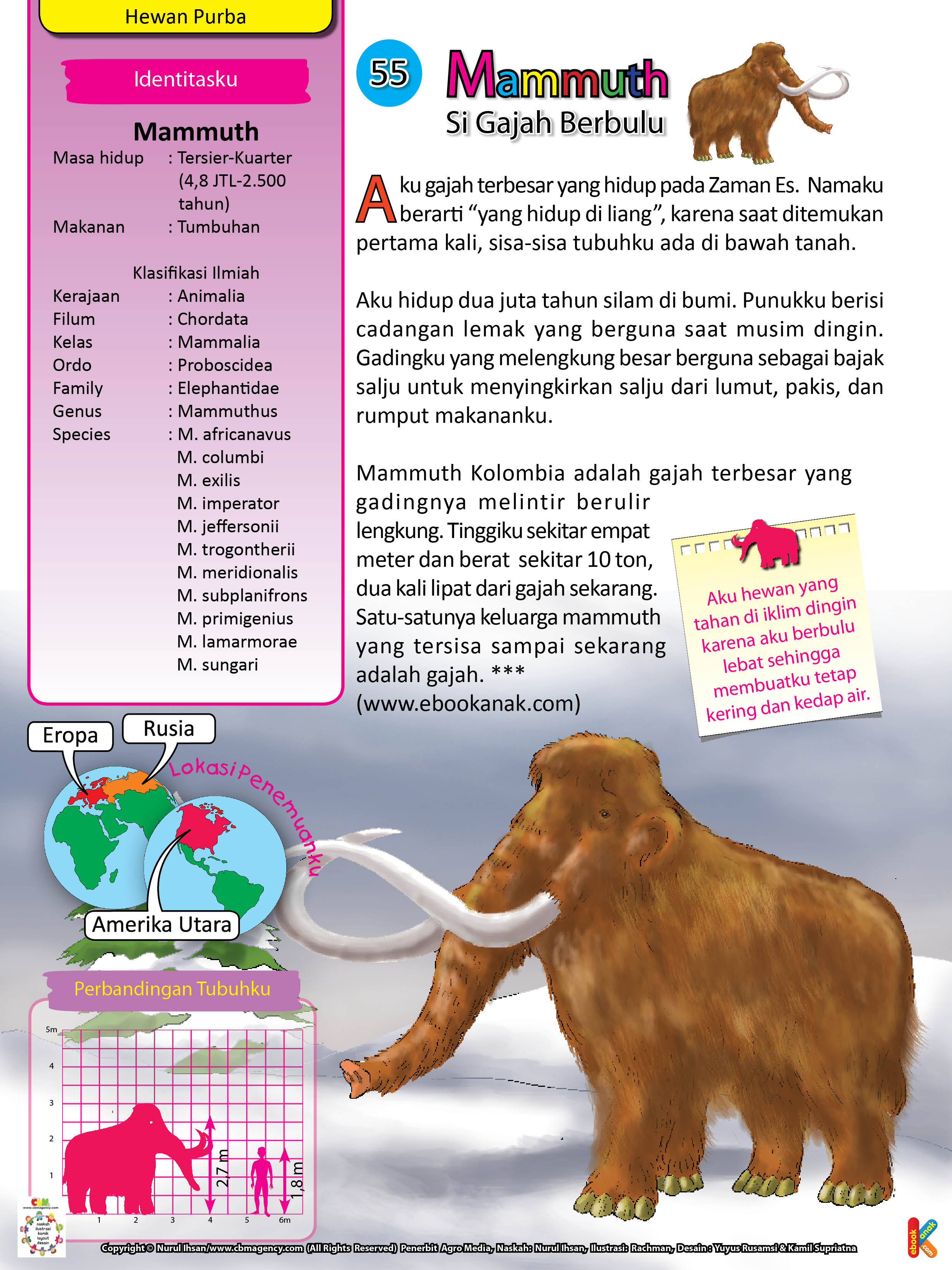Nama Mammuth berarti “yang hidup di liang”, karena saat ditemukan pertama kali, sisa-sisa tubuh Mammuth ada di bawah tanah.