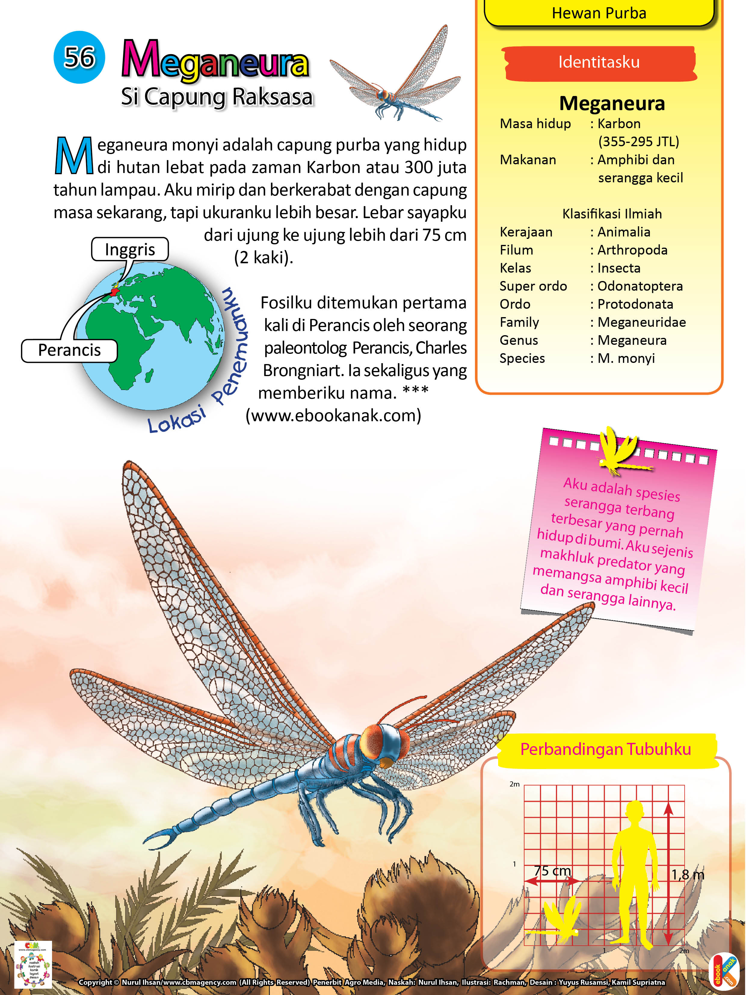 Meganeura monyi Capung  Purba  Raksasa Ebook Anak