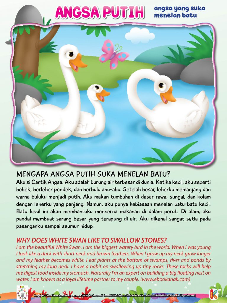 Wild & Pet Animals.jpg 24 angsa putih