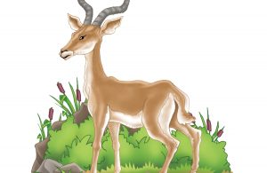 Antelop roan termasuk antelop petarung yang hebat dan ganas.