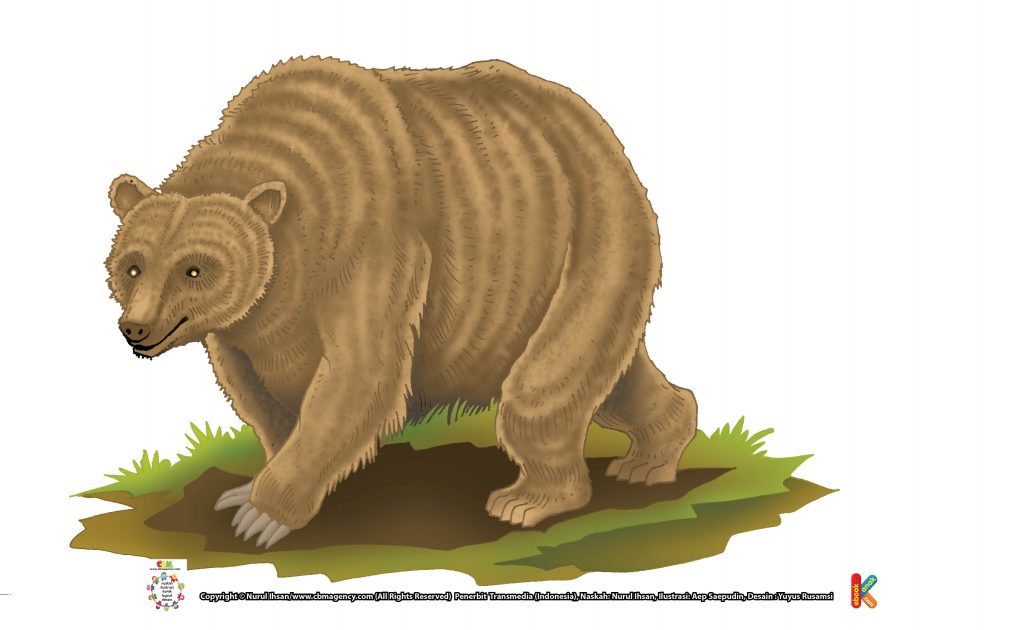 ilustrasi-beruang-grizzly
