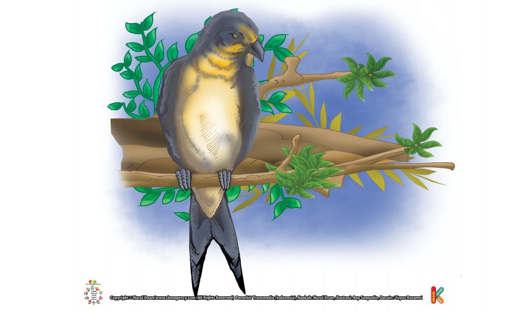 ilustrasi-burung-layang-layang-terbang-selama-2-tahun