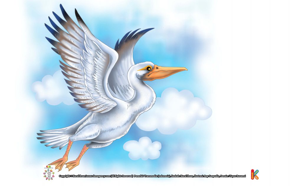 ilustrasi-pelikan-burung-berparuh-terbesar-di-dunia