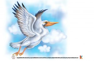 Pelikan Burung Berparuh Terbesar di Dunia