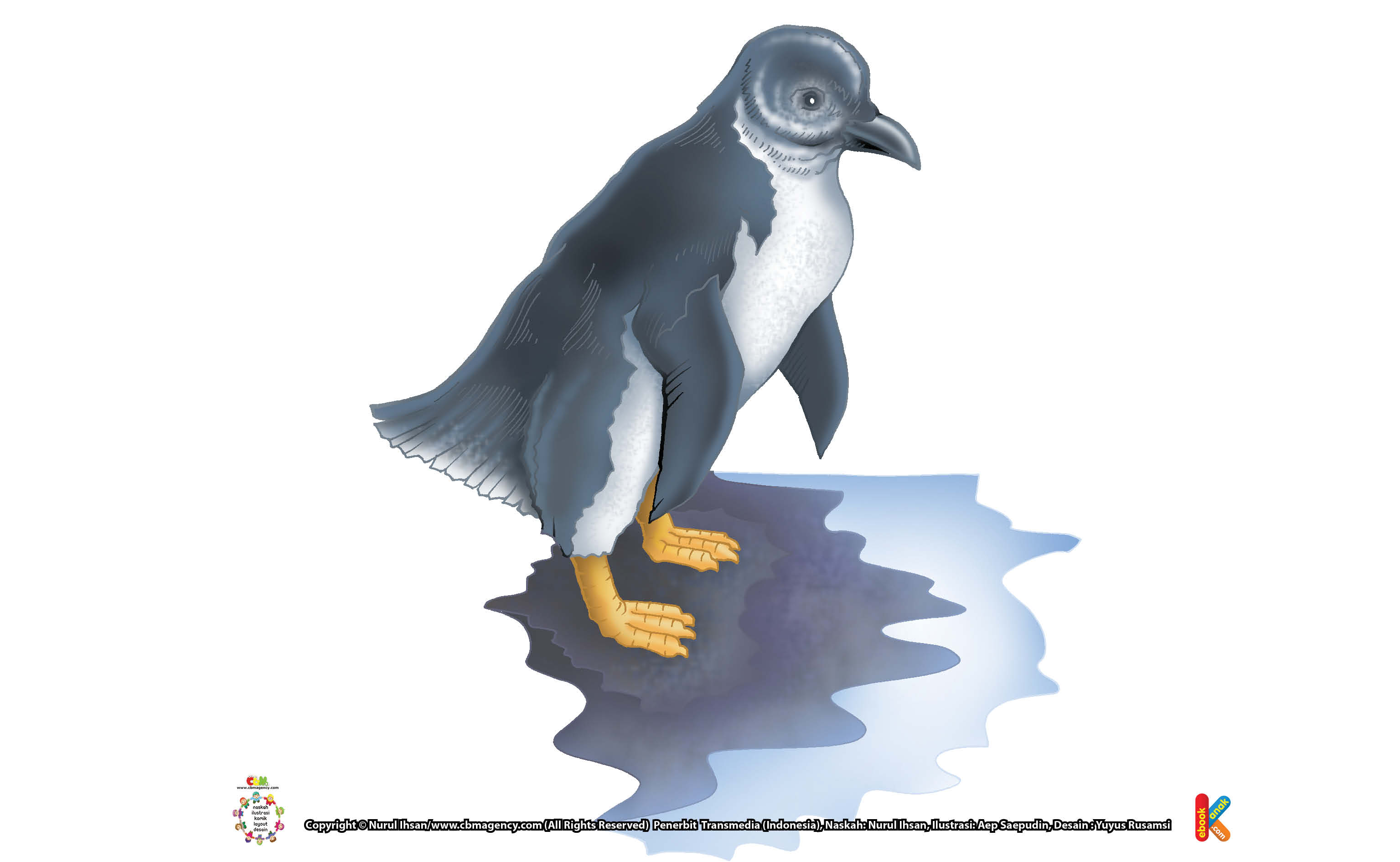 Penguin Fairy, Penguin Terkecil Di Dunia