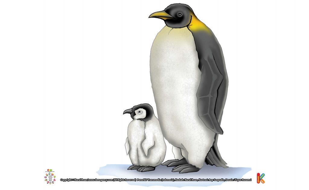 ilustrasi-penguin-kaisar-penguin-terbesar-di-dunia