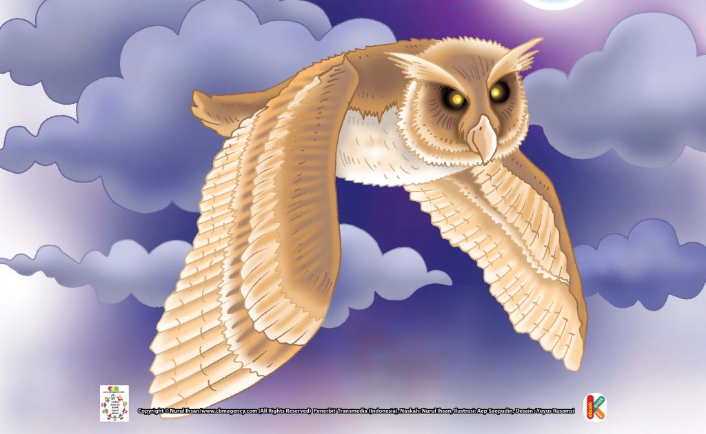 ilustrasi-burung-hantu-berjambul