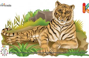 Harimau Kucing Buas Terbesar