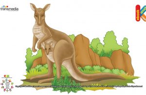 Kanguru Hewan Pelompat Terjauh di Dunia