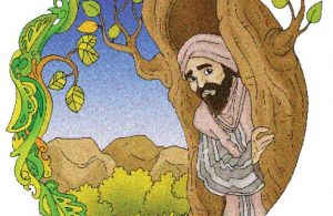 Nabi Zakaria dan Pohon Bisa Membelah Sendiri