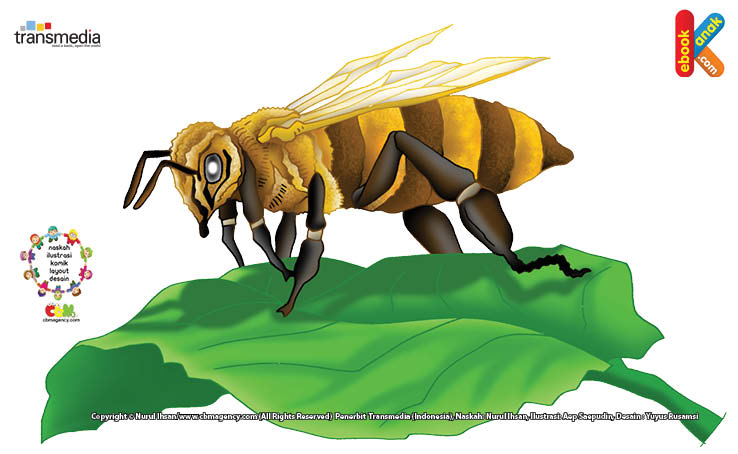 Lebah disebut serangga paling rajin di dunia, karena setiap hari seekor lebah pekerja harus pulang pergi 10 kali dan hinggap di 1.000 bunga sekali jalan.
