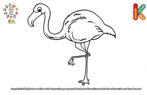 Mewarnai gambar flamingo, burung berkaki panjang.