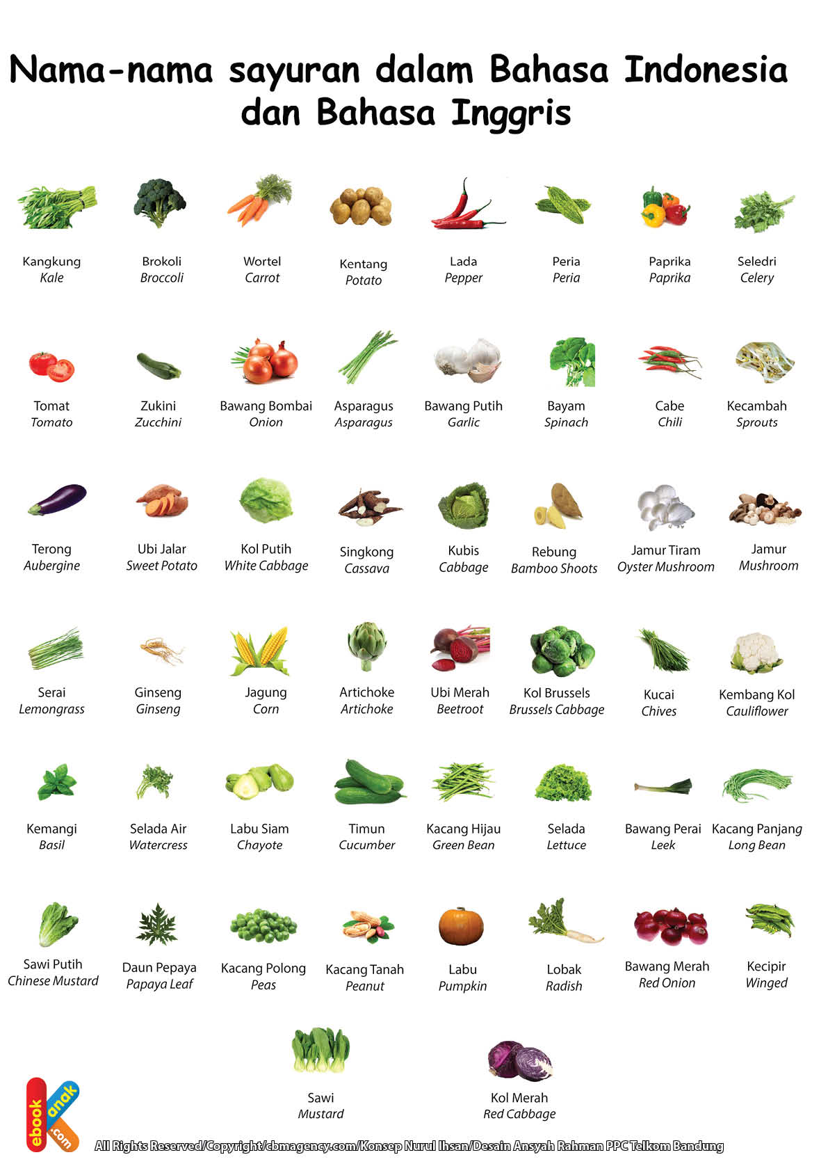 Judul Poster Pendidikan Belajar Mengenal Sayur Sayuran Bilingual 2 Bahasa Bahasa Indonesia – Bahasa Inggris Kategori Poster