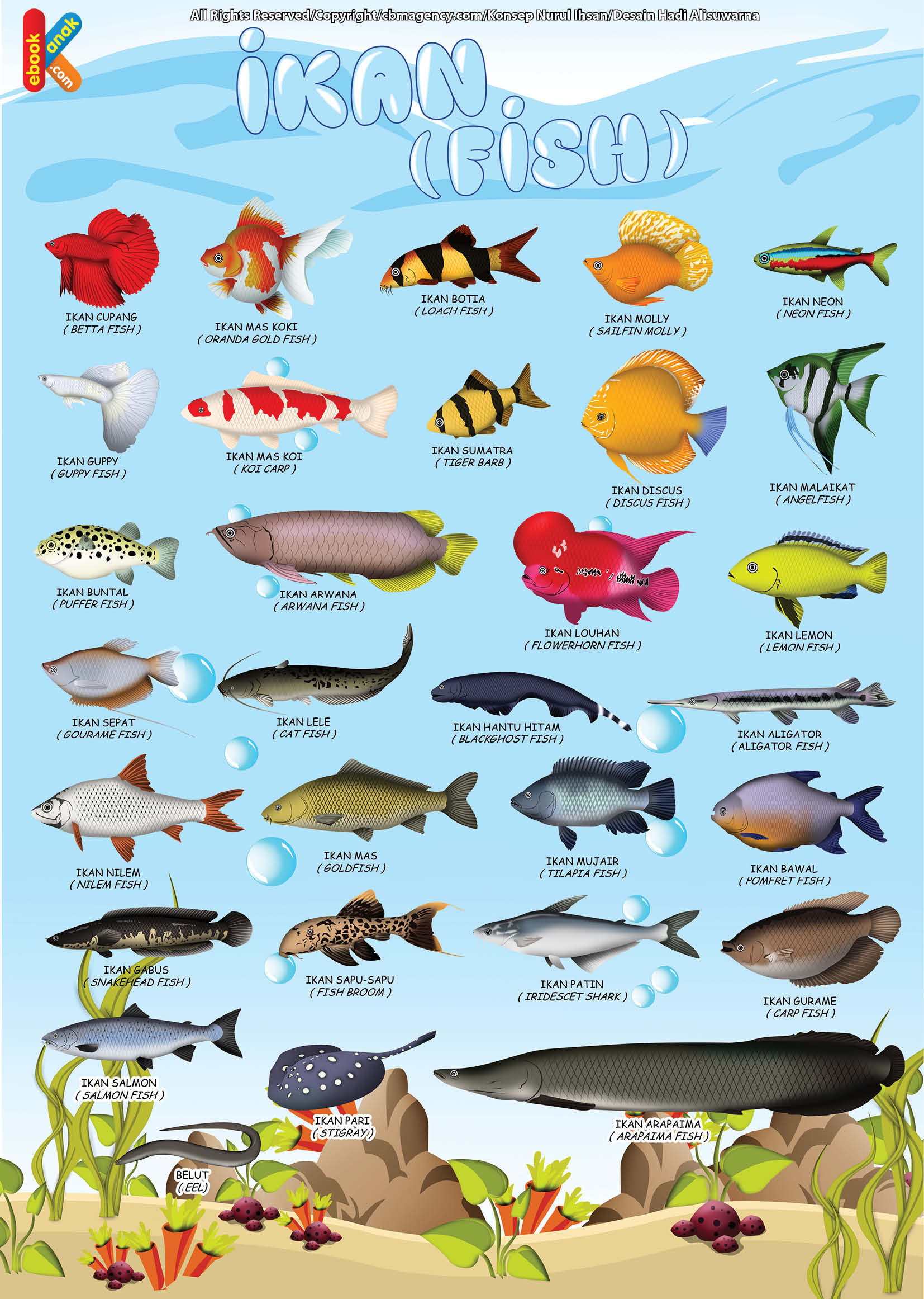 Judul Poster Pendidikan Belajar Mengenal Ikan Bilingual Bahasa Indonesia – Bahasa Inggris Kategori Poster Ukuran 42 cm x 59 4 cm