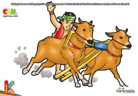 Ilustrasi Dongeng Rakyat Provinsi daerah provinsi jawa timur Dongeng Asal Usul Permainan Karapan Sapi Madura 2