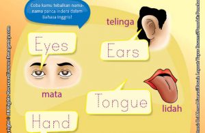 Download Gratis Worksheet Malaikat Makhluk Ghaib