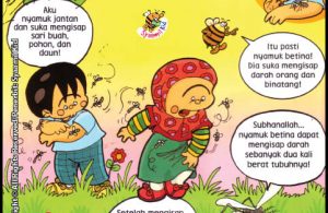 Benarkah Hanya Nyamuk Betina Saja Yang Suka Mengisap Darah?