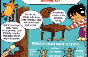 Rayap, Kamu Merusak Rumah Ya?