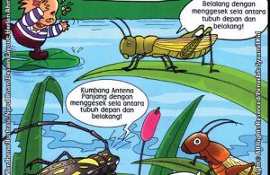 Serangga, Bagaimana Caramu Berbunyi?