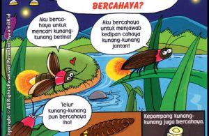 Kunang-Kunang Untuk Apa Kamu Bercahaya?