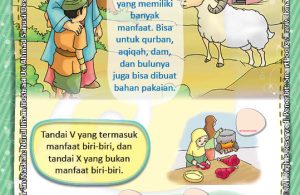Apa Saja Manfaat Biri-Biri Untuk Manusia?
