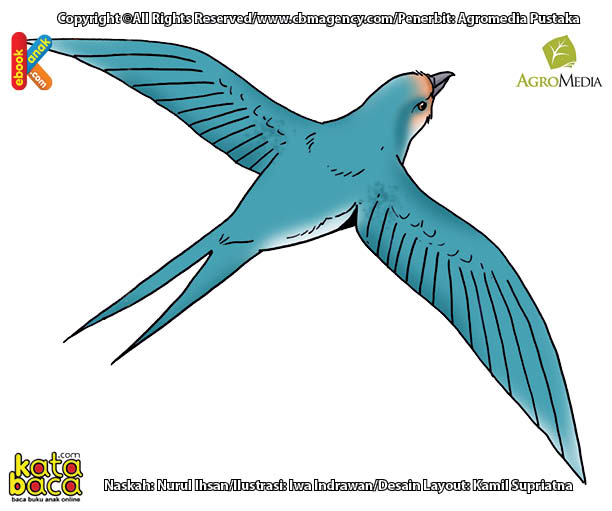 Apakah Nama Burung yang Bisa Terbang Selama Dua Tahun? | Ebook Anak