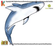 Ilustrasi 100 binatang pemecah rekor Apakah Nama Pemburu dan Pemangsa Ulung Paling Menakutkan di Lautan