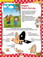 buku pintar aktivitas TK A-B Worksheet PAUD TK A-B Mengenal Bagian Tubuh Burung