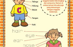Worksheet PAUD TK Anggota Tubuhku Sempurna